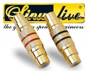 Sinuslive Cinch Verbinder 1 Paar 2 Stück vergoldet CVW Cinchverbinder Female